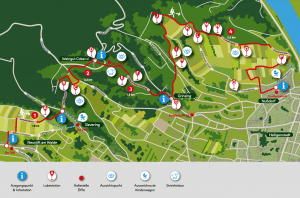 ROUTE 1:  NEUSTIFT - NUSSDORF + THE 19th DISTRICT