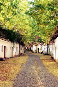 Galgenberg kellergasse and other wine cellar roads